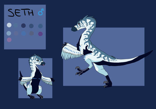 New Sona: Seth Character Reference Sheet