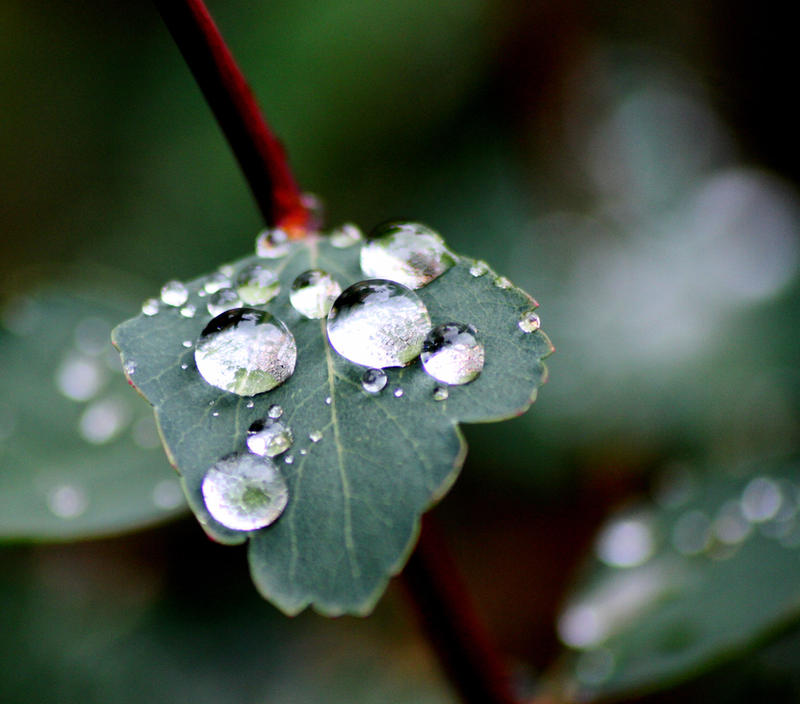 The story of raindrops