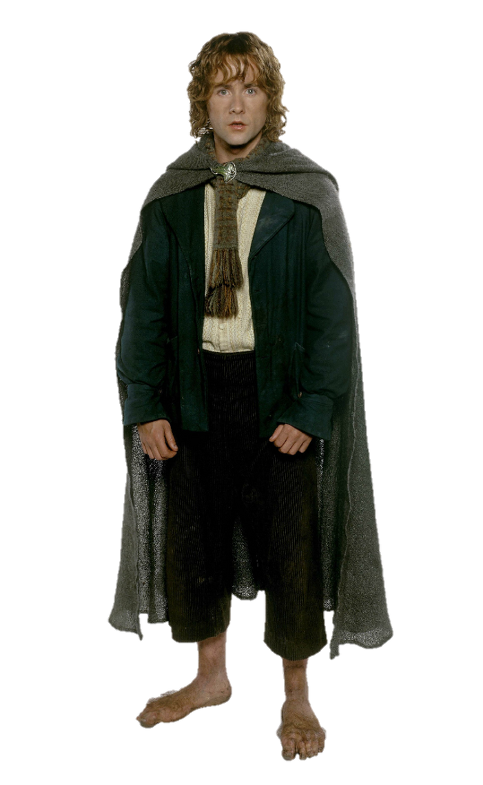 Lord of the Rings Peregrin Took PNG by Metropolis-Hero1125 on DeviantArt(03)