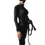 The Batman Catwoman PNG