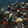 Mushroom Growing - Pong 879