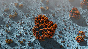 Summer Dawn - Pong 194