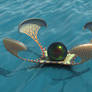 Seed of Life