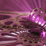 Ignition (Weightless Remix)