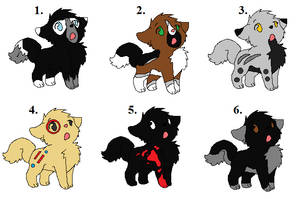 Wolf Adopts