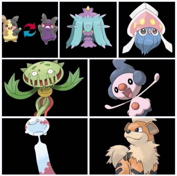 Equipe rocket e quase todos os seus pokemons