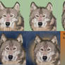 Wolf Screenshots