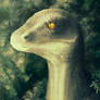 Velociraptor - rework