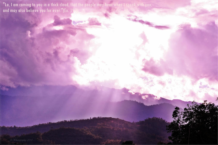 Javascript Image Purple The Purple Color by js2smart on DeviantArt