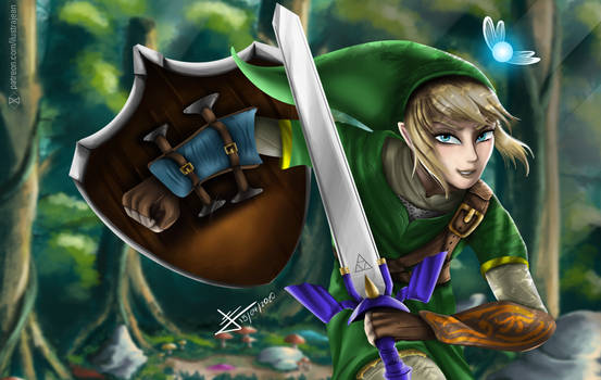 Link From Th legend Of Zelda (Smash Bros Version)