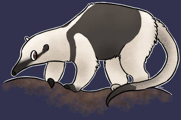 Northern tamandua