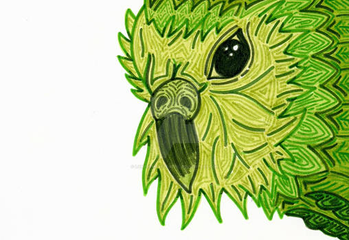 Kakapo version II