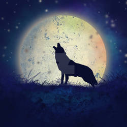 The Moon  The Wolf