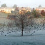 Frosty Take-off