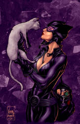 Catwoman by Wrathofkhan