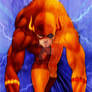 Flash vs. Zoom