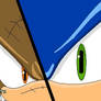 Spikes VS Sonic