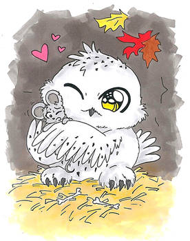 Hedwig Owl