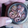 Octopus pocket watch