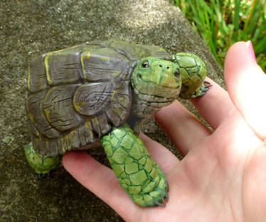Polymerclay Turtle sculpture