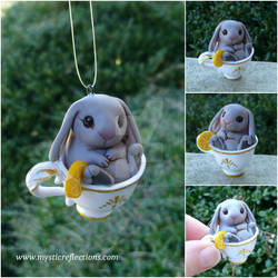 Teacup Rabbit