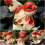 Red and White Oranda goldfish
