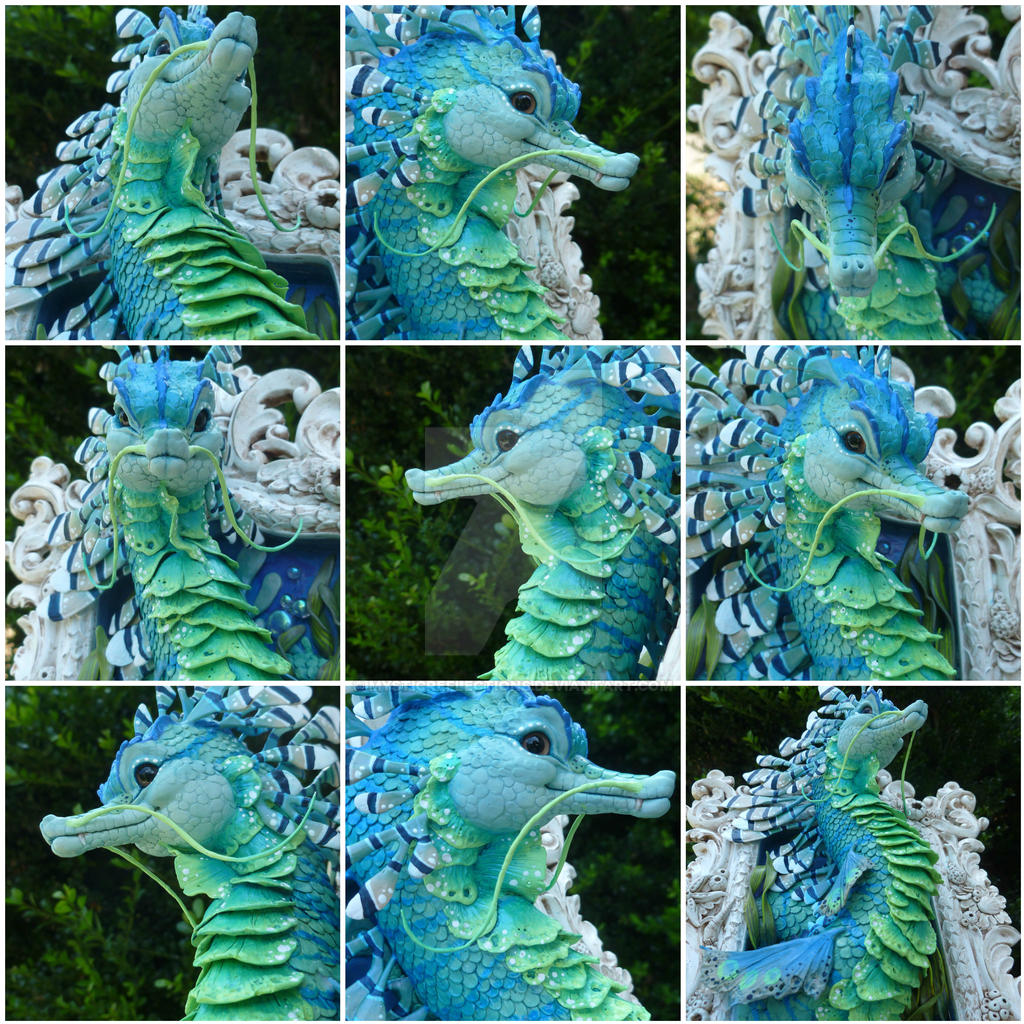 Shorr the Sea Dragon