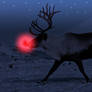 Rudolph at Night