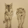 Two Wolves