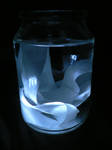 the light in the bottle--Han2 by HanHan