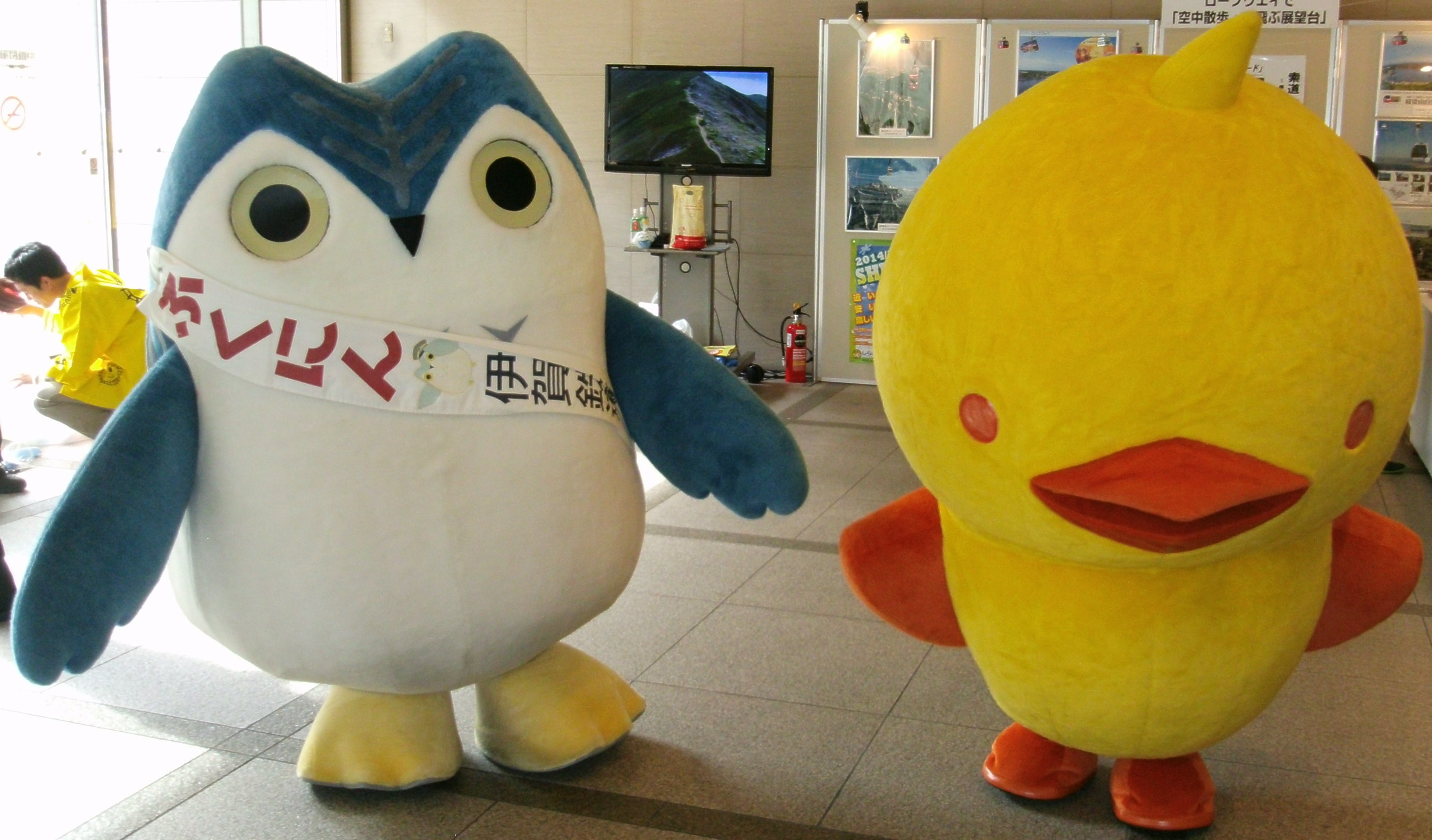 Fukunin and Chick of TOICA 11