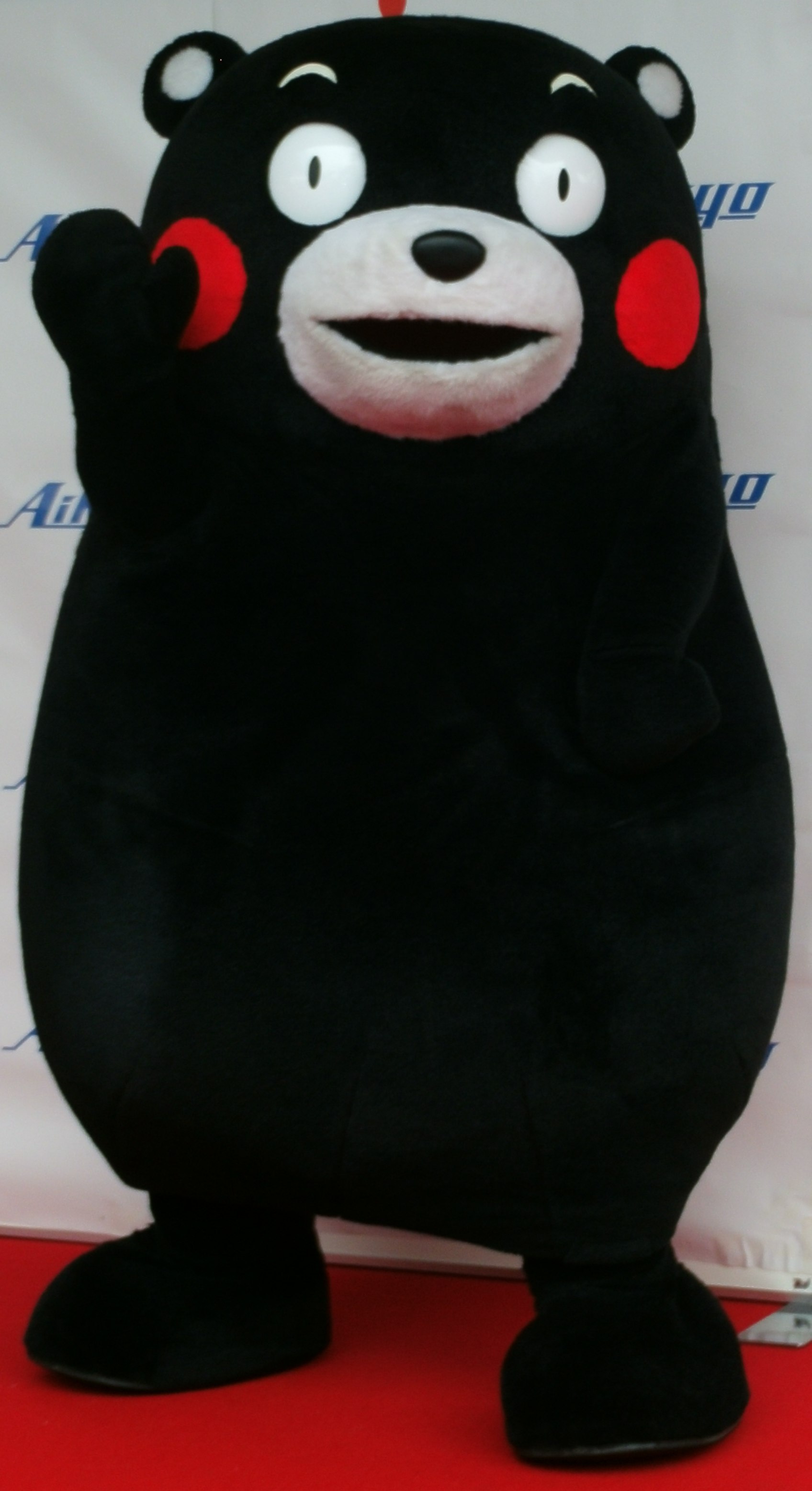 Kumamon 25