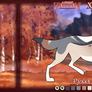 Pyxis | A Starlit Horizon Application