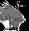 Sora