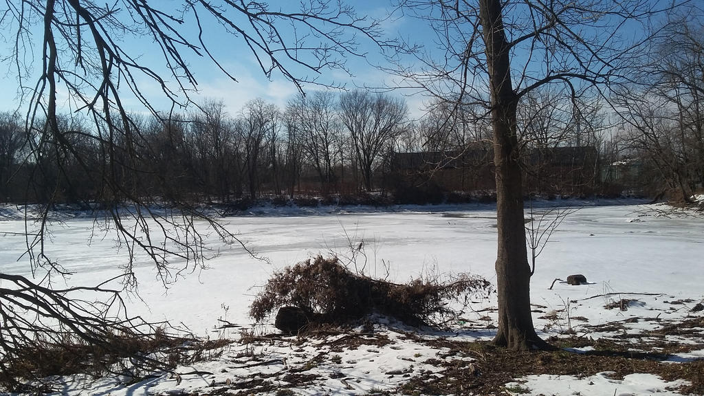 Frozen River During Daylight