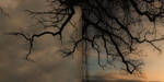 fade... by bindii