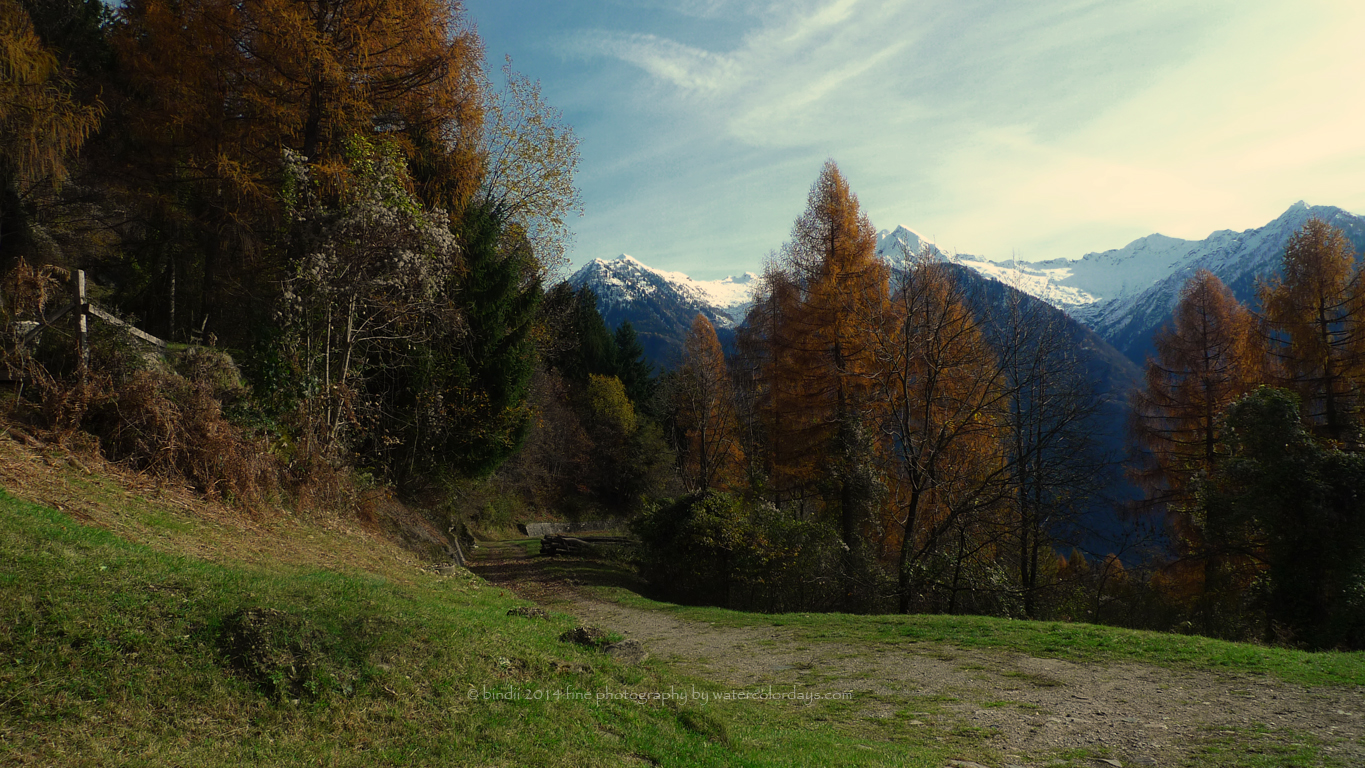 Castaneda, Switzerland