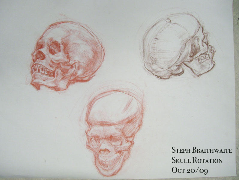 Skull Rotation by Twinimation on DeviantArt