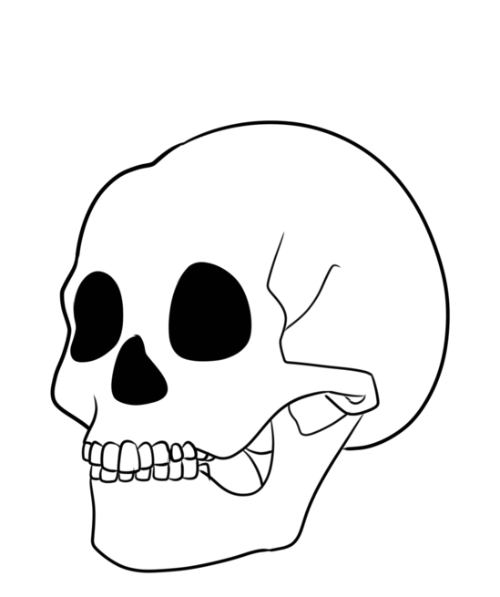 Skull gif! by FancyPancake55 on DeviantArt