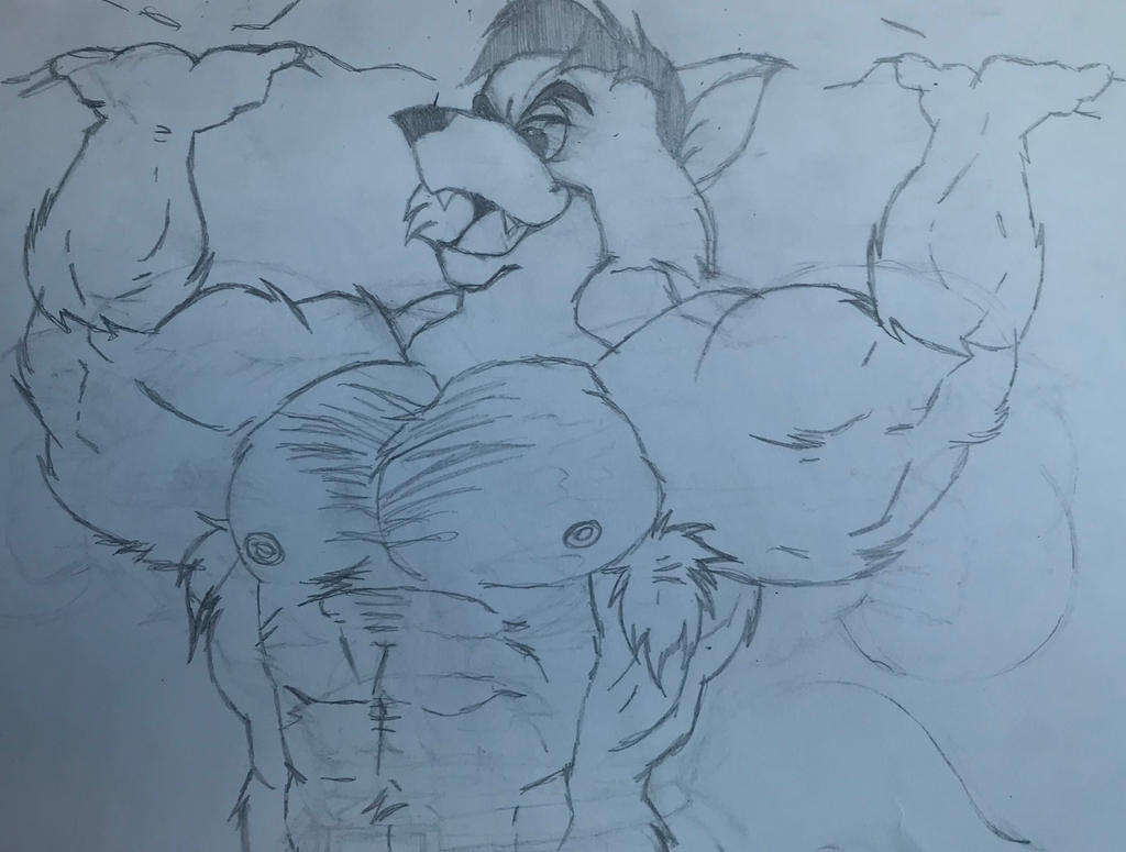 Deviantart Andre Fox Andrew The Hairy Fox Growing Big by MatthewCipolla1 on DeviantArt