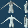 3D female body wip