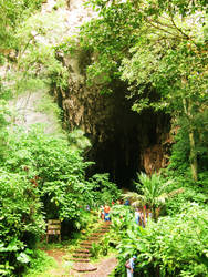 Guacharo Cave Venezuela