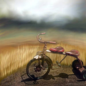 Tricycle Built for Two by hummbuzz Tricycle Built for Two by hummbuzz