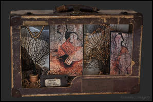 Wild Women of the Wood...assemblage