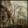 Cordiality (a collaboration)