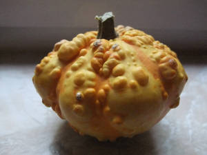 Pumpkin III