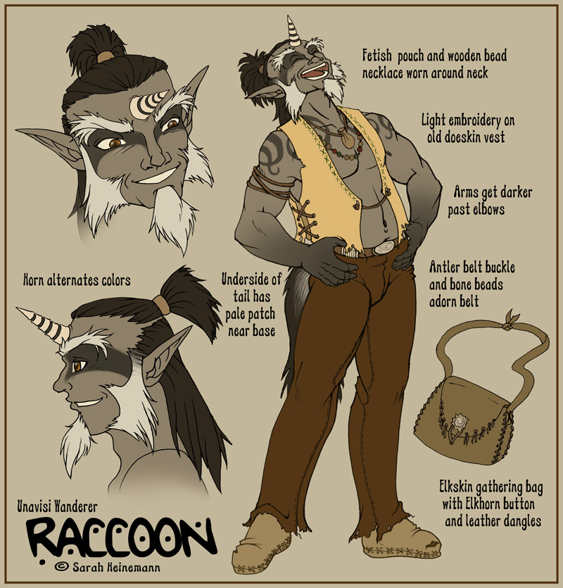 Raccoon Character Design