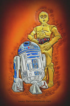 R2-D2 and C-3PO leather journal cover