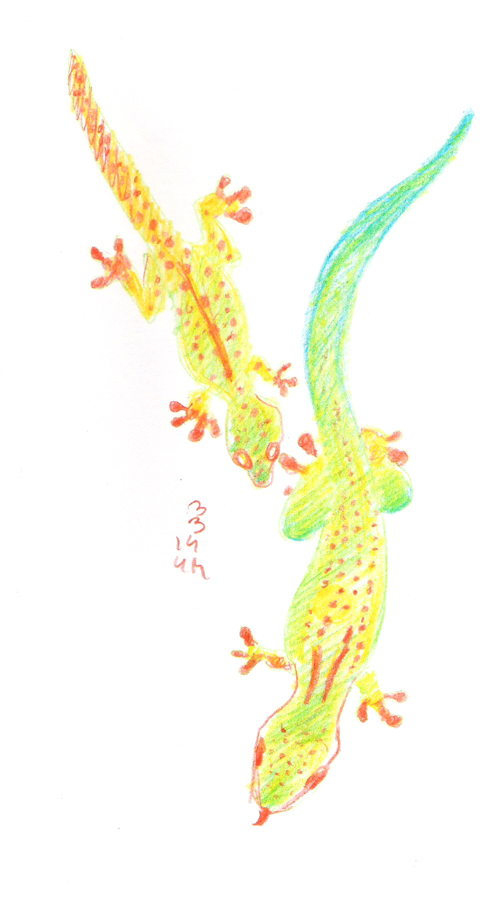 Two Lizards