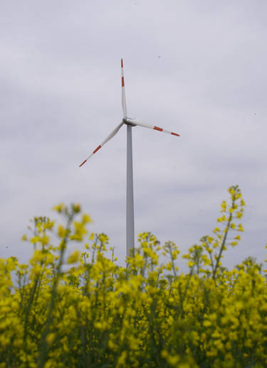 wind turbine